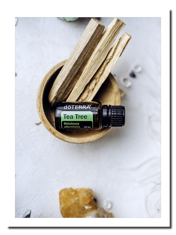 dōTERRA Tea Tree Essential Oil