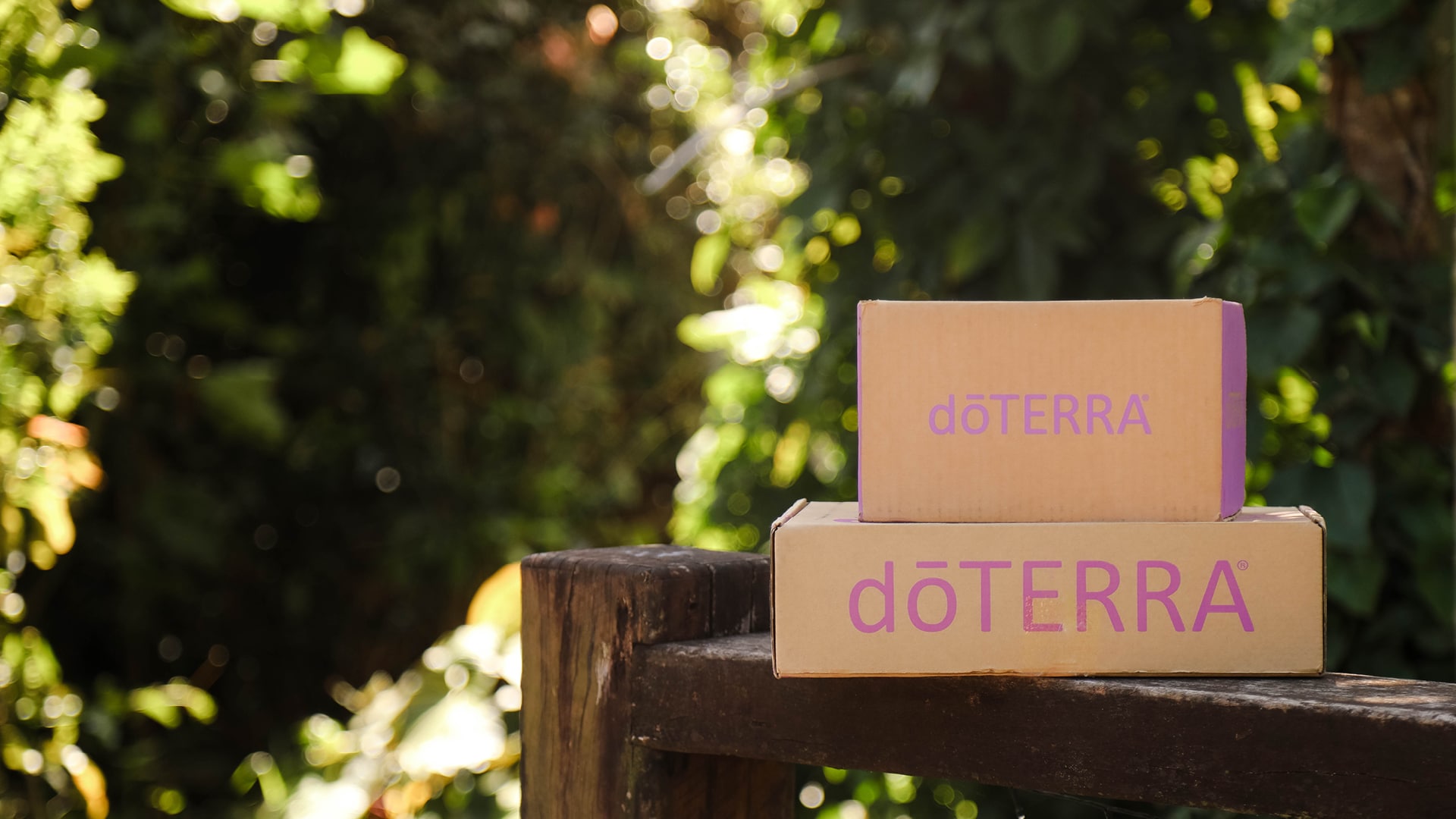 dōTERRA boxes